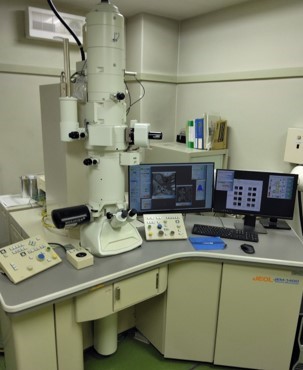 透過型電子顕微鏡　JEM-1400(日本電子)