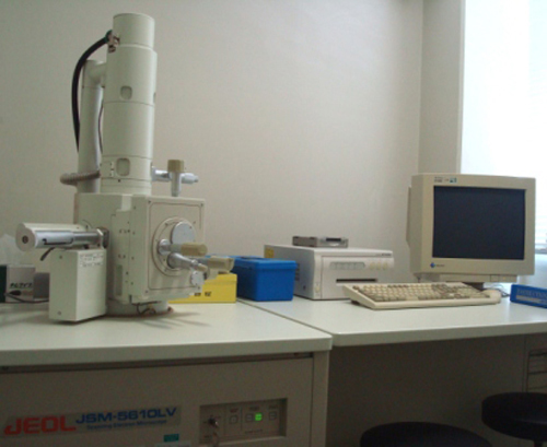 走査型電子顕微鏡　JSM-5610LV(日本電子) 
